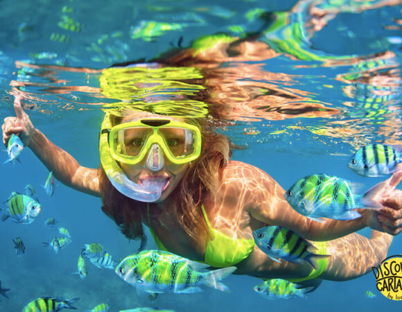 CARTAGENA SNORKELING EXPERIENCE IN ROSARIO ISLAND PARK