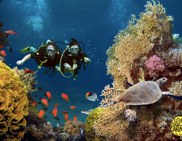 CARTAGENA DIVING EXPERIENCE